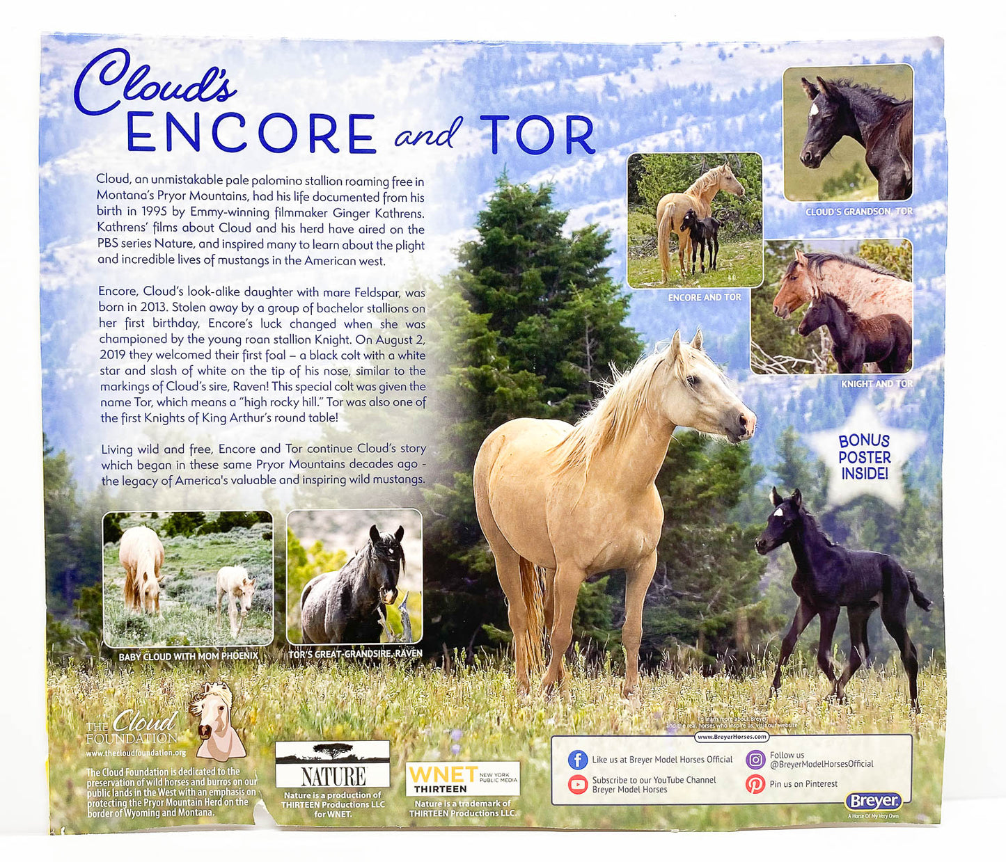 Bio Card / Box Back: Cloud's Encore and Tor