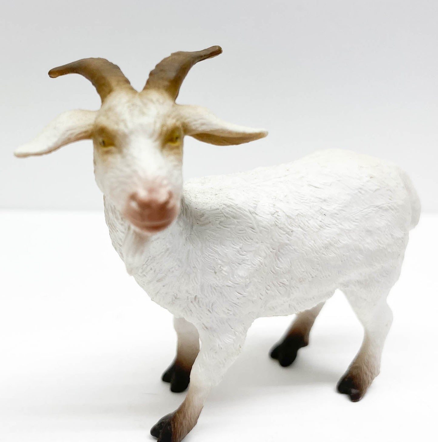 Billy Goat, White