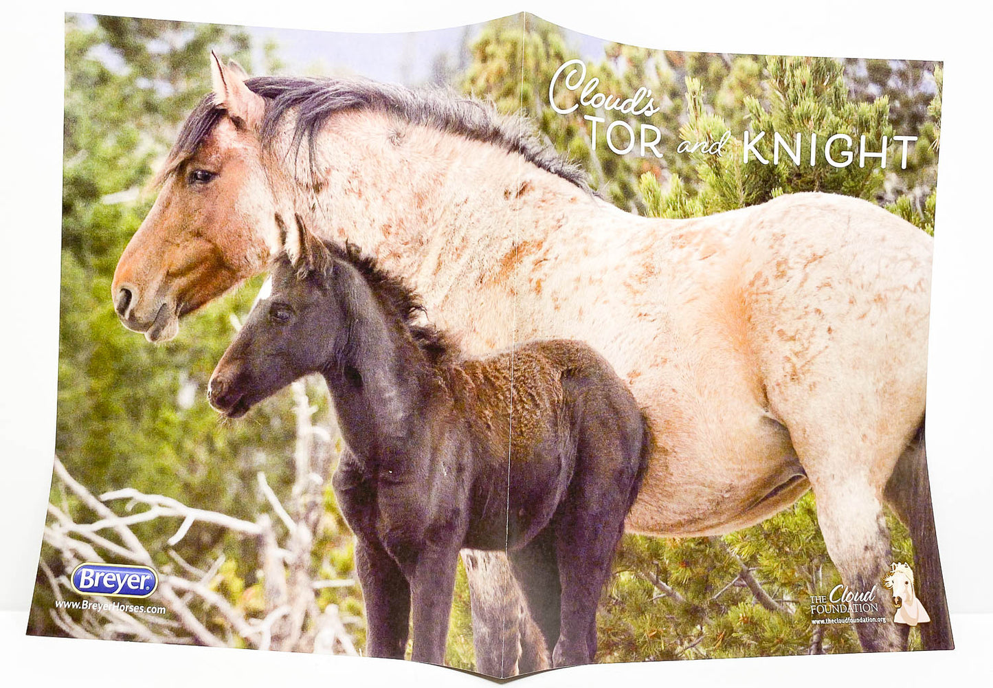 Poster: Cloud's Encore and Tor