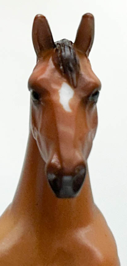 Standing Thoroughbred, Bay Appaloosa - Kmart SR