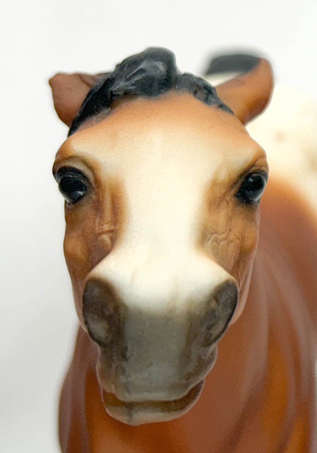 Semi-Rearing Mustang, Bay Appaloosa - BHR SR - Only 333 Made