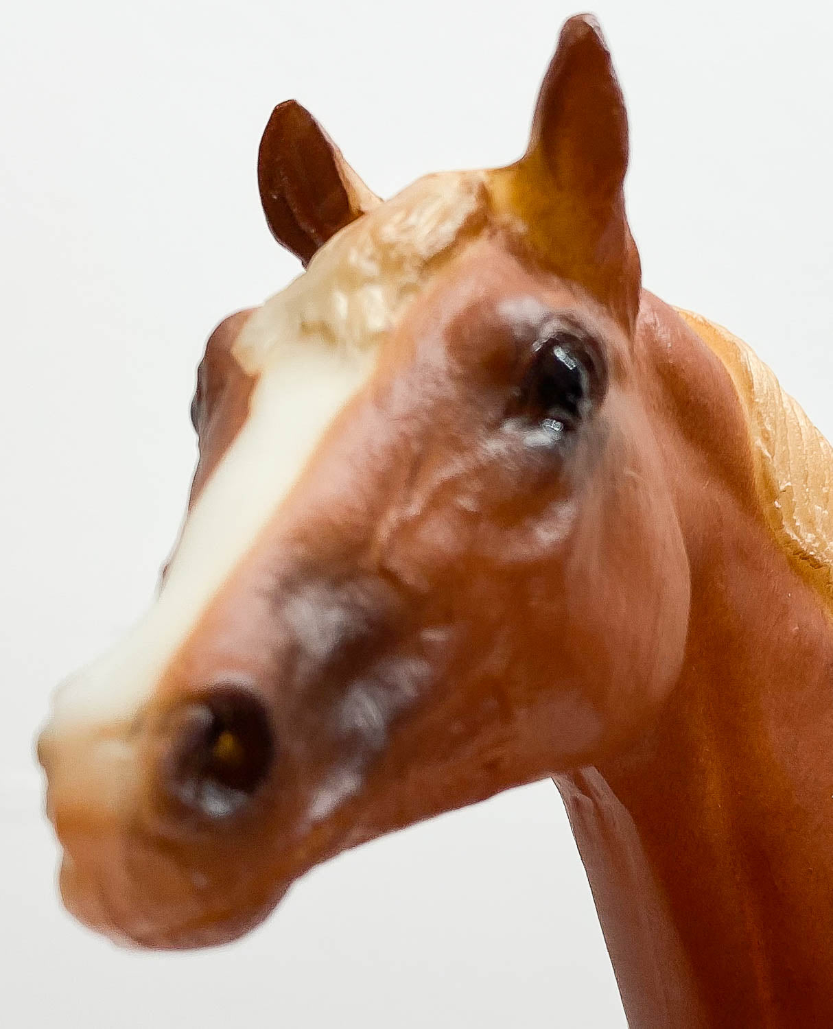 Stock Horse Stallion ~ Skipster's Chief