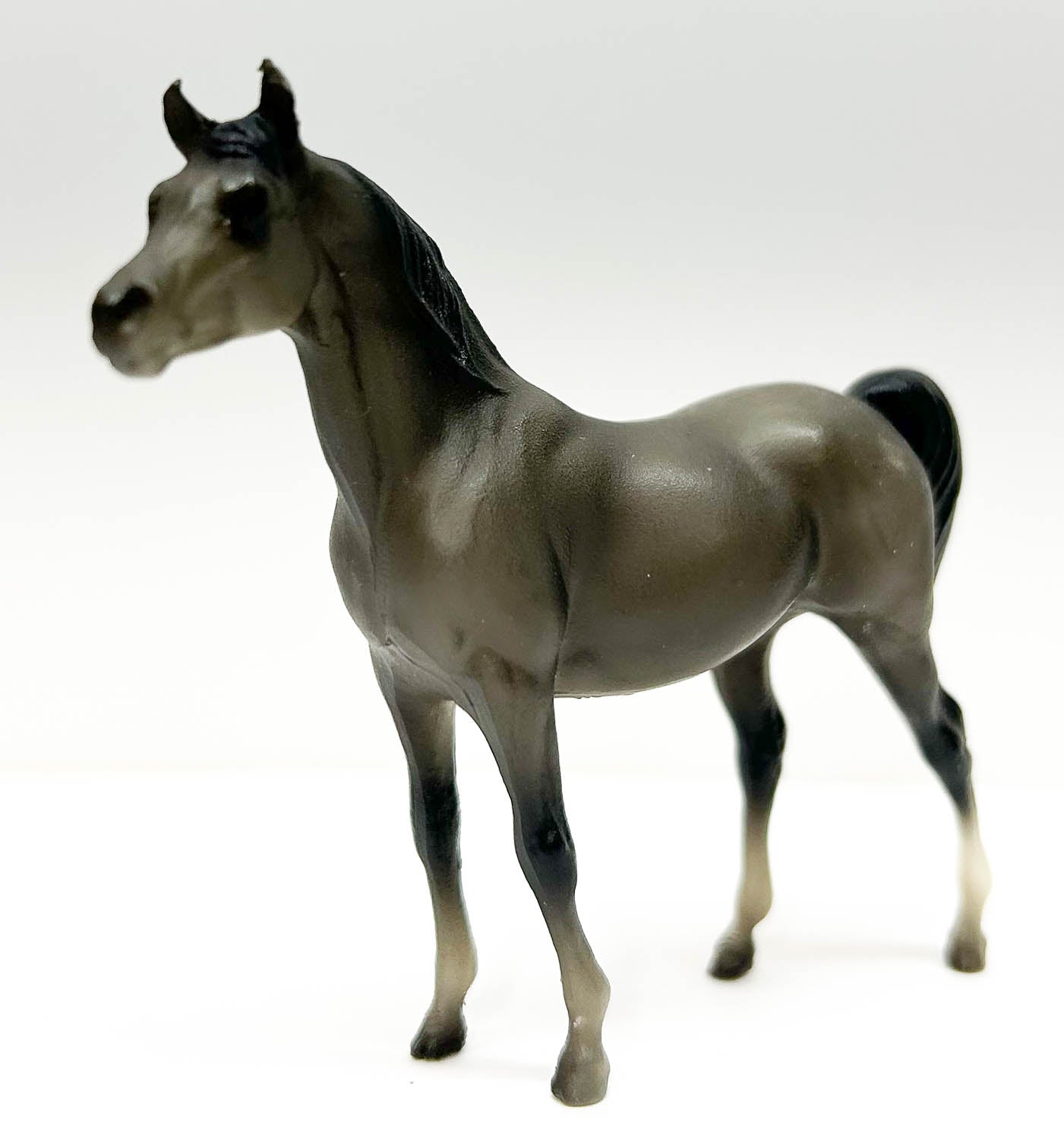 Arabian Stallion, Grey