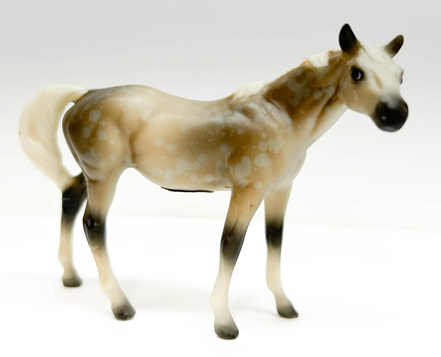 Thoroughbred Mare, Dappled Rose Grey - JCP SR