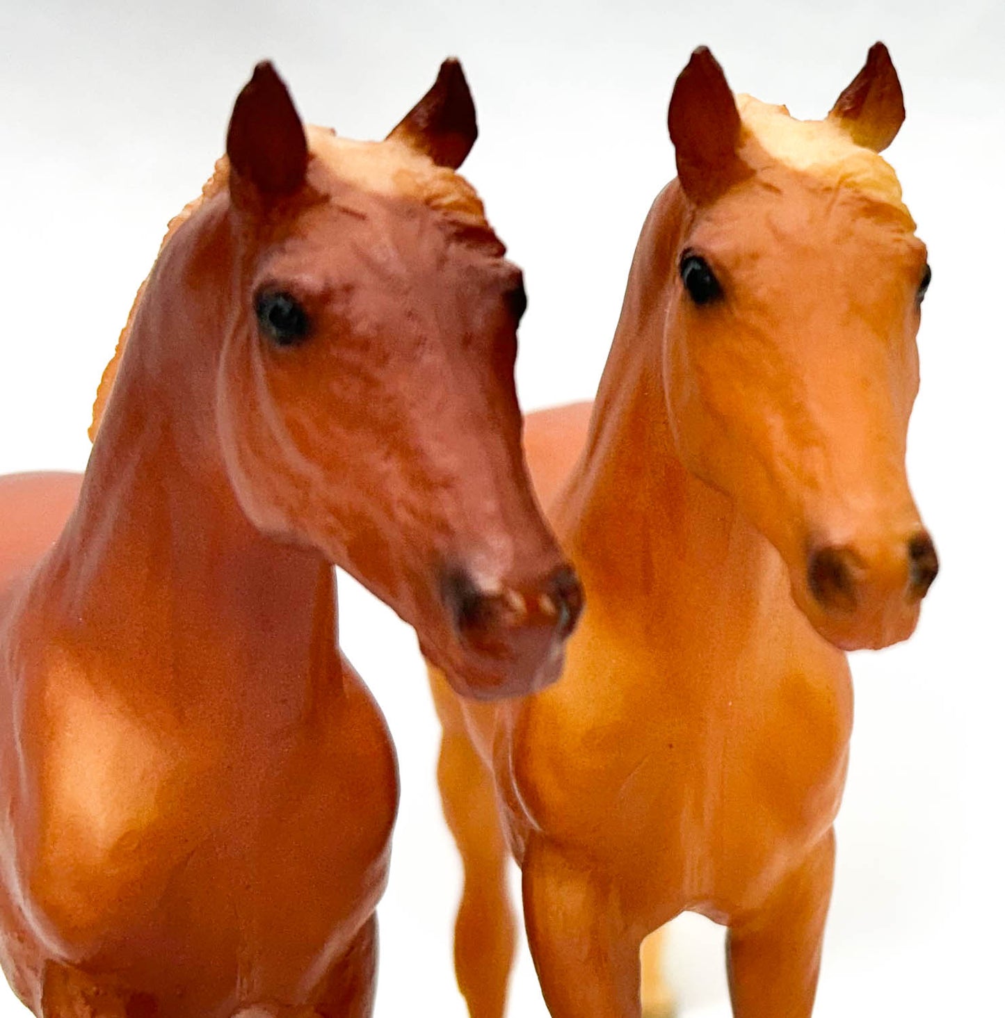 Action Stock Horse Foal, Chestnut