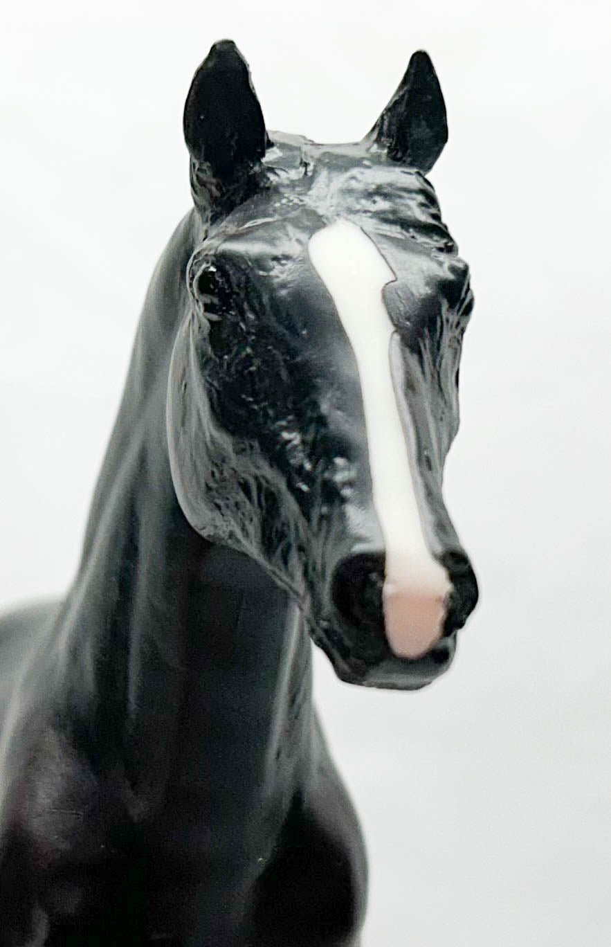 Action Stock Horse Foal, Black - JC Penney SR