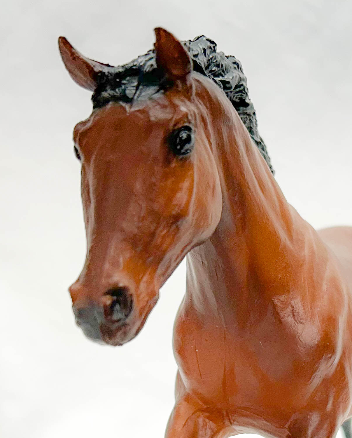 Black Beauty, Bay - Sears SR