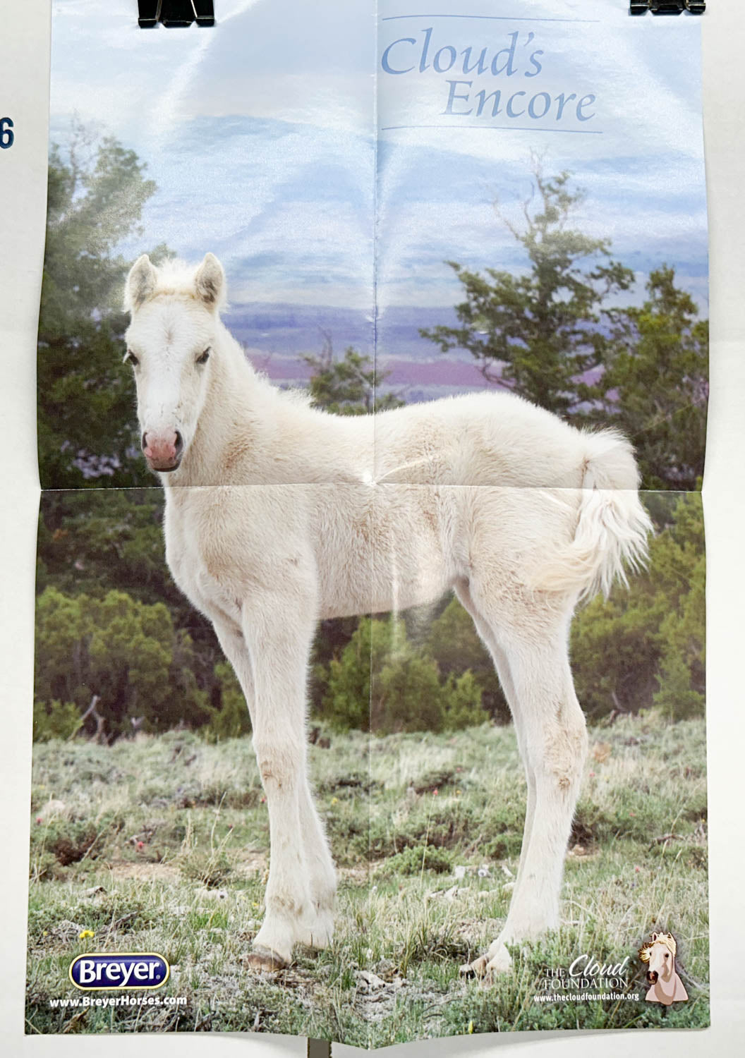American Quarter Horse Stallion ~ Cloud from Cloud's Encore Gift Set + Bonus Poster