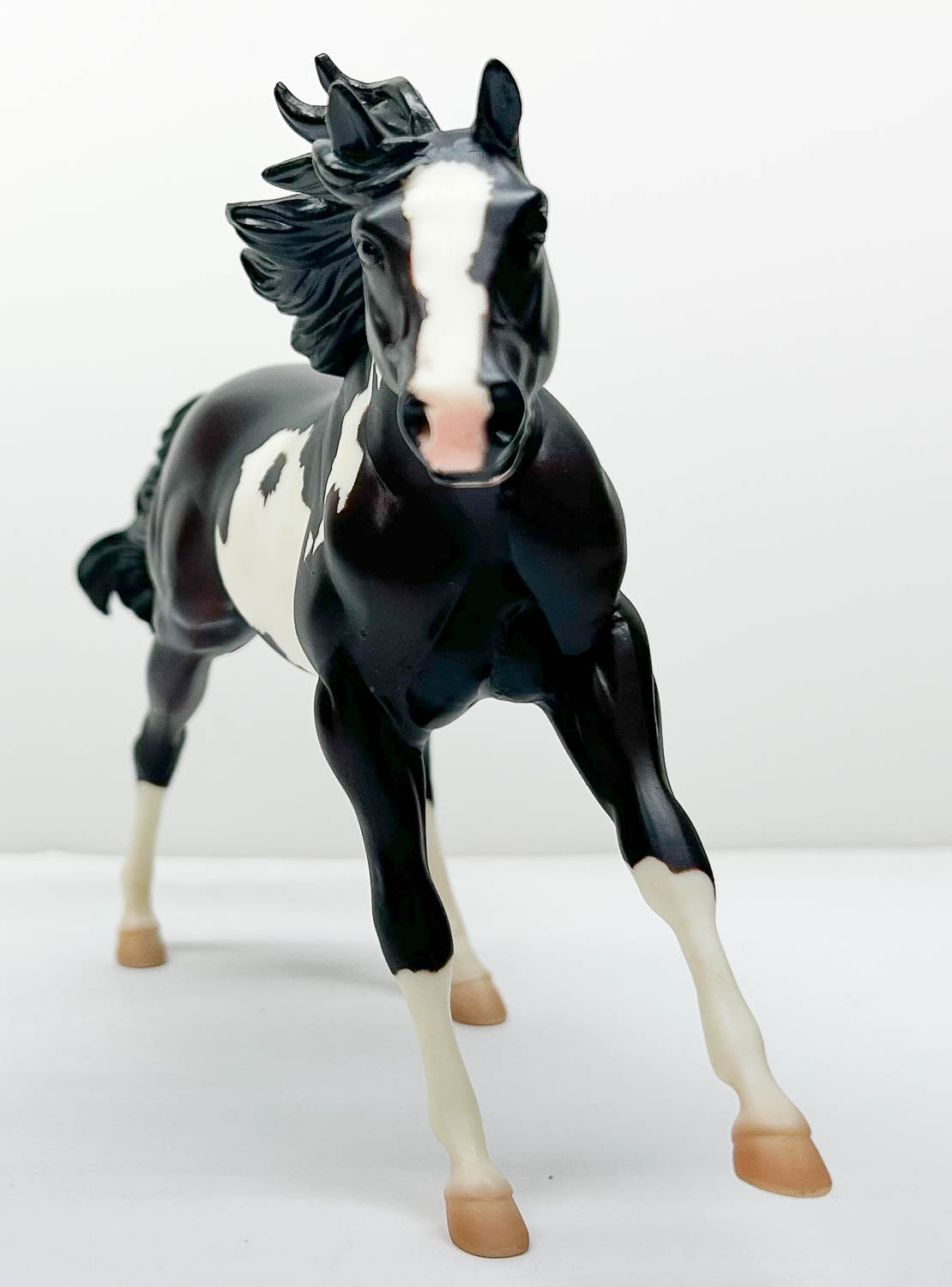 American Quarter Horse Stallion ~ Rocky Road - 2006 Fun Days SR