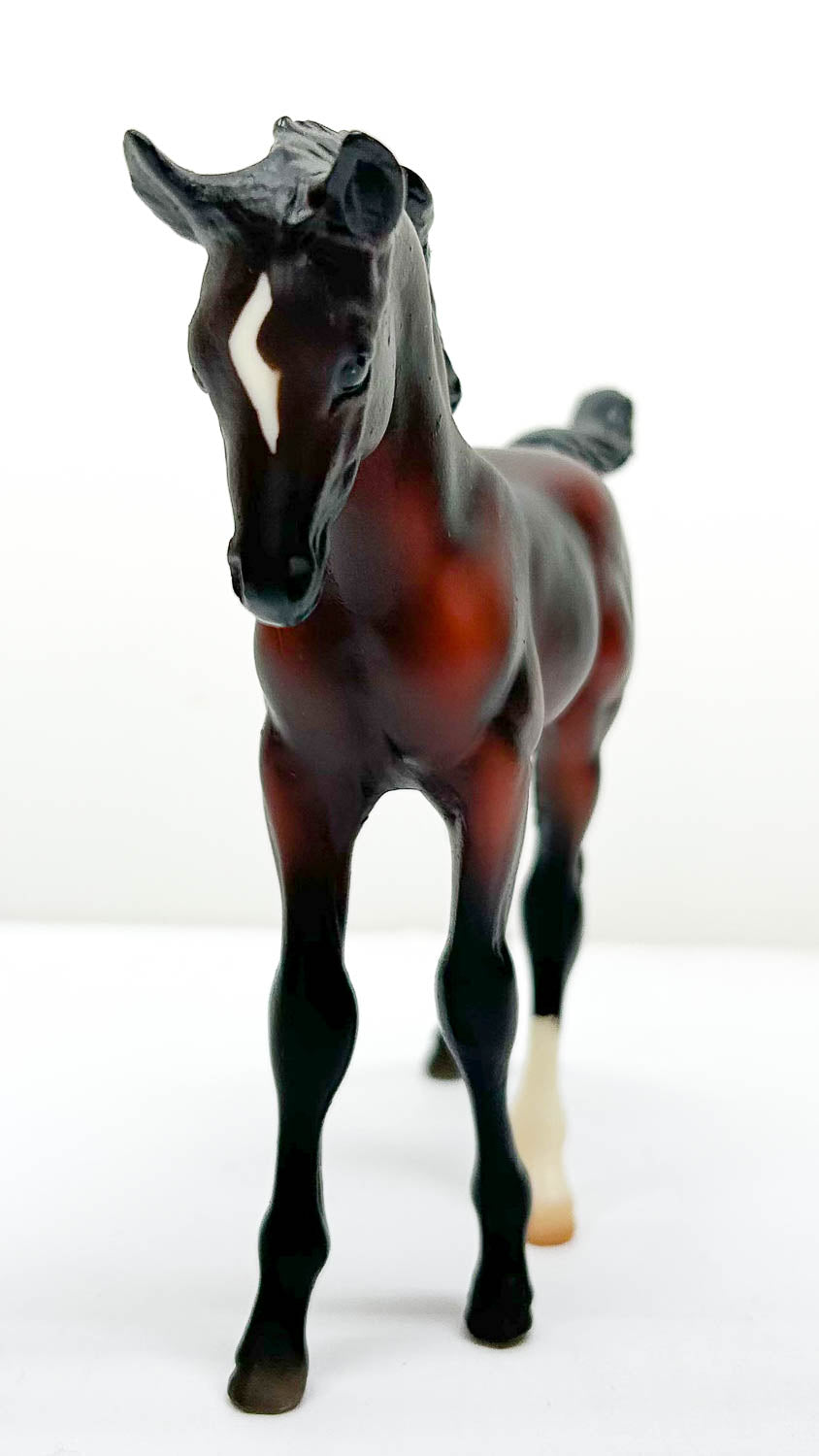 Arabian Foal, Mahogany Bay from Arabian Mare with Foal Set