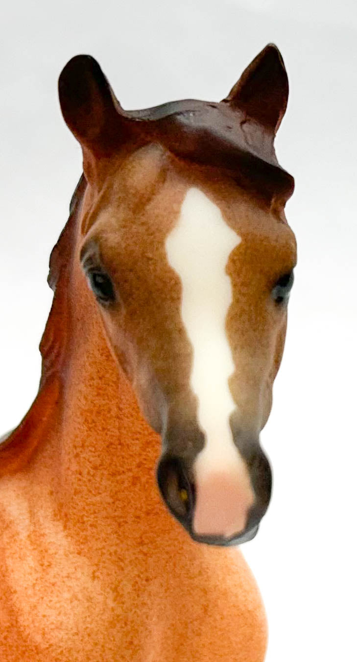 Arabian Mare, Red Roan from Arabian Mare with Foal Set