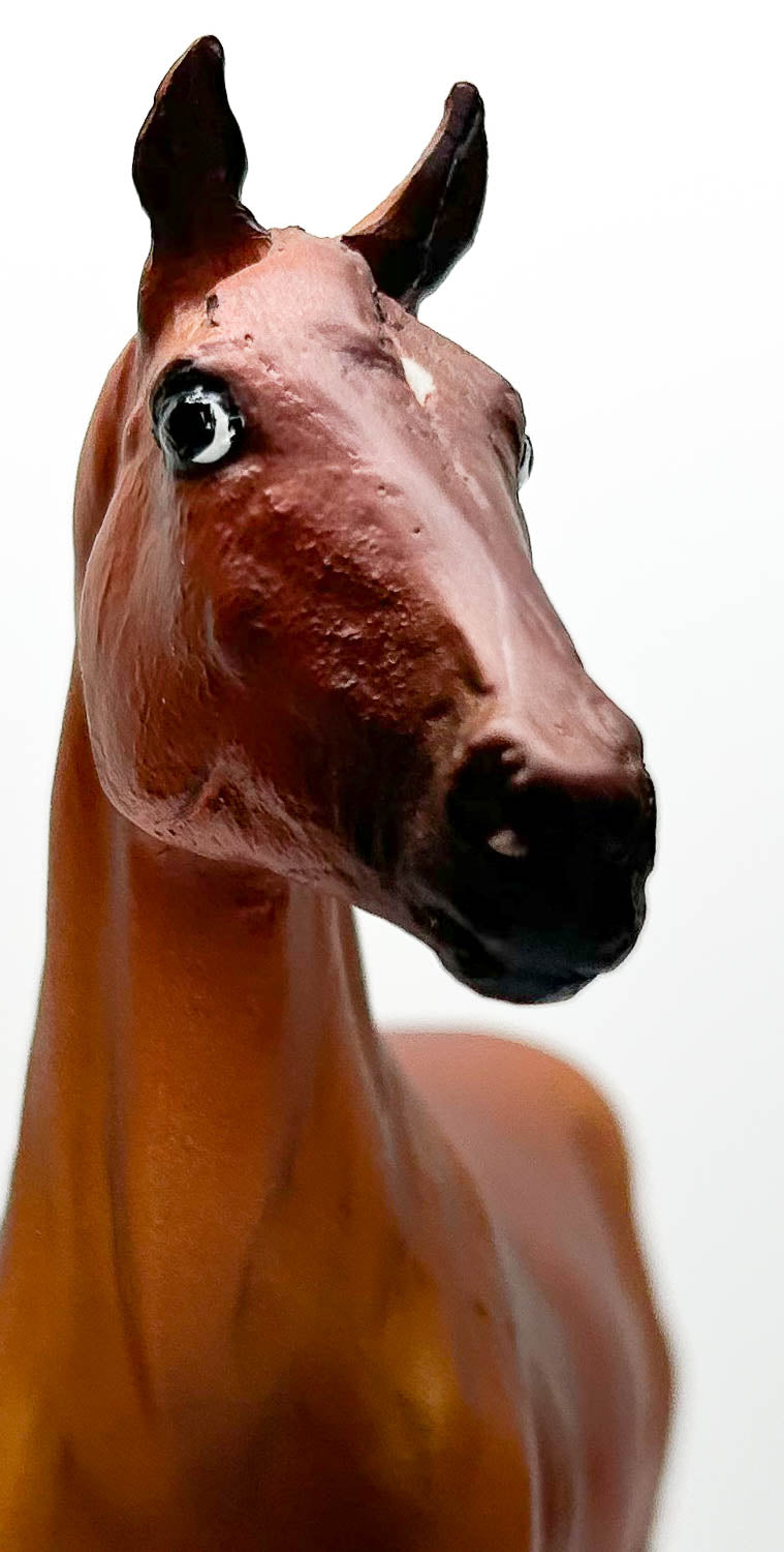 Duchess ~ Sonador "Dreamer" - Walmart SR