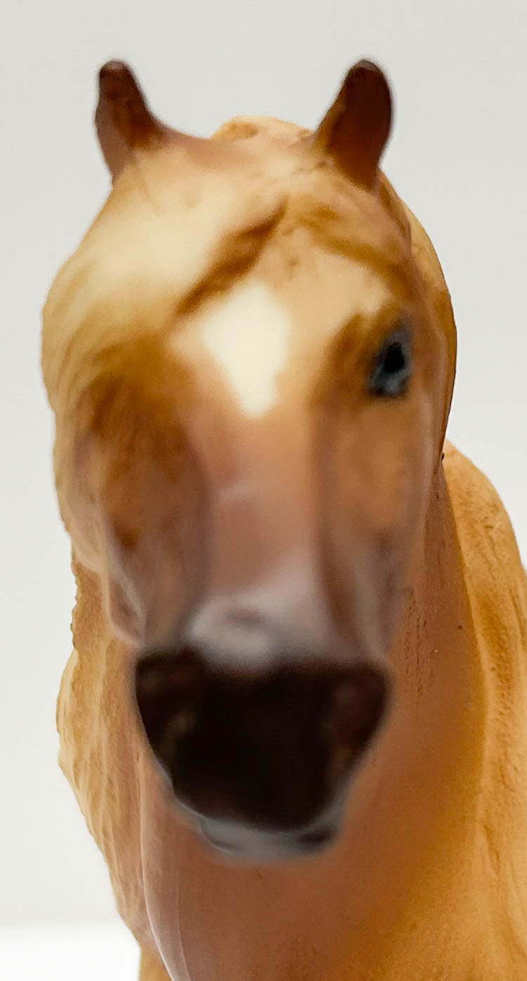 Mesteno ~ Alano, from Alano & Mateo set