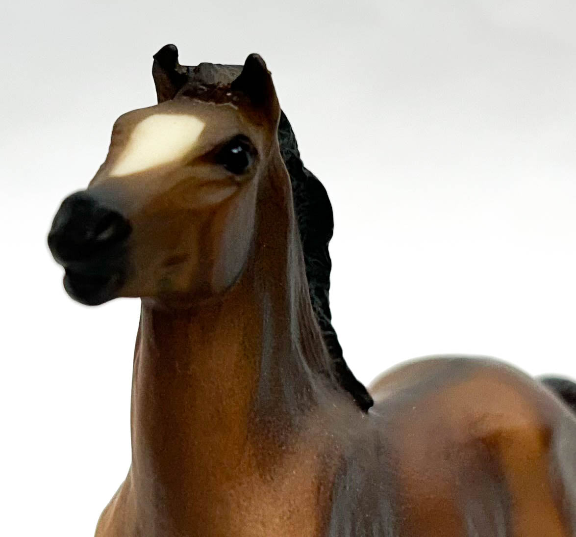 Mesteno the Foal ~ Damita - Walmart SR