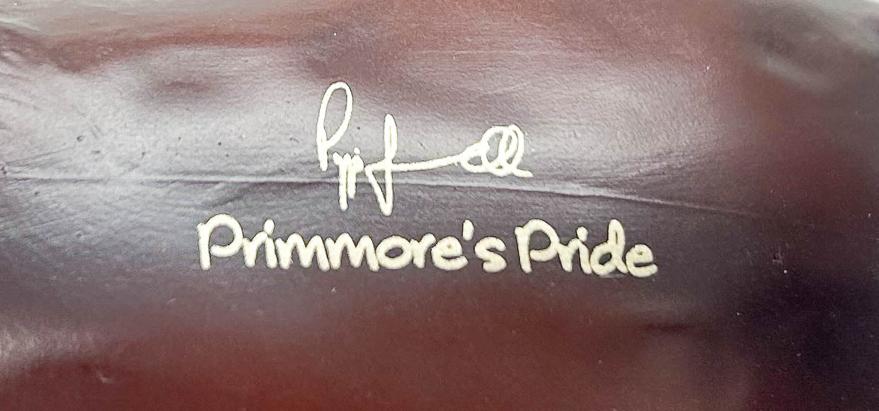 Might Tango ~ Pippa Funnel's Primmore's Pride