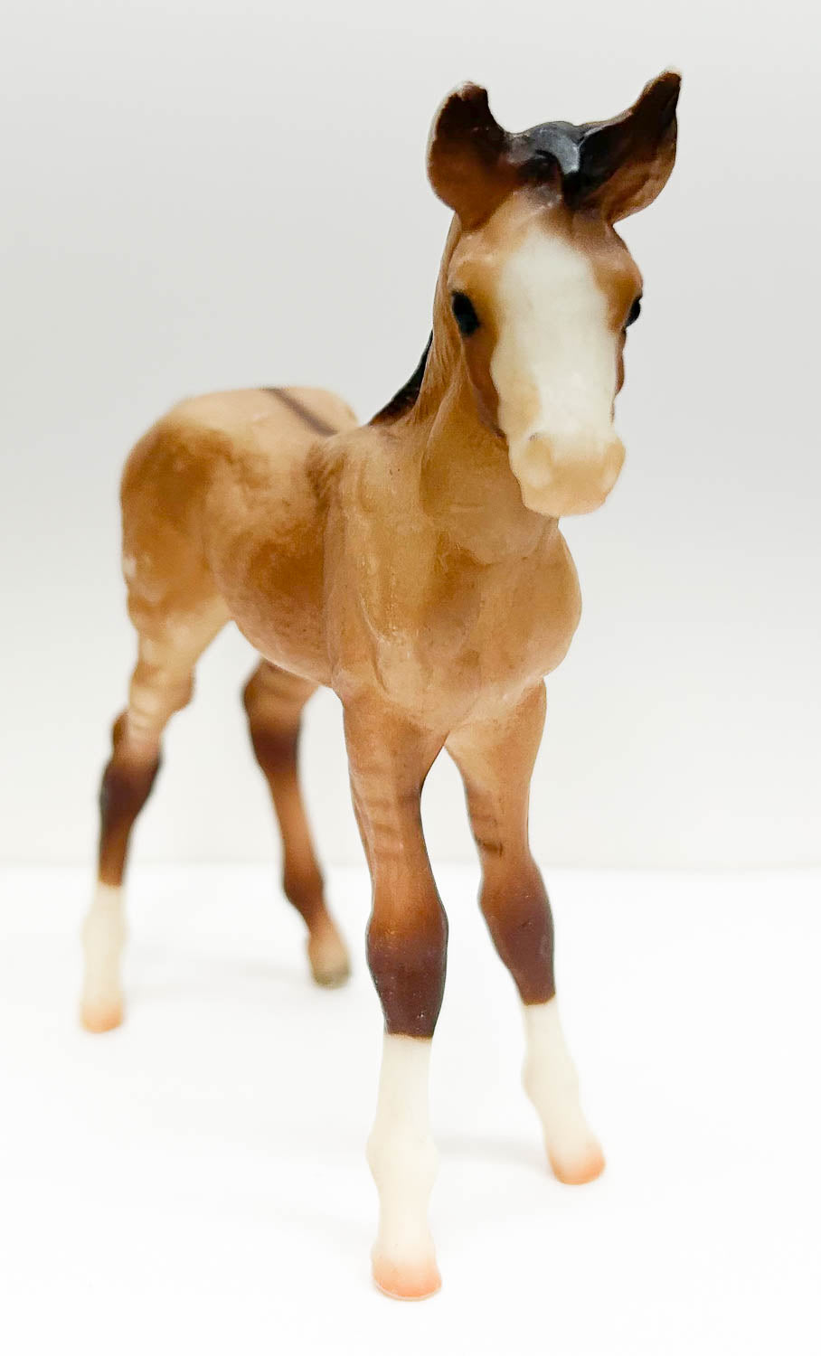 Mustang Foal ~ Sundance - Walmart SR