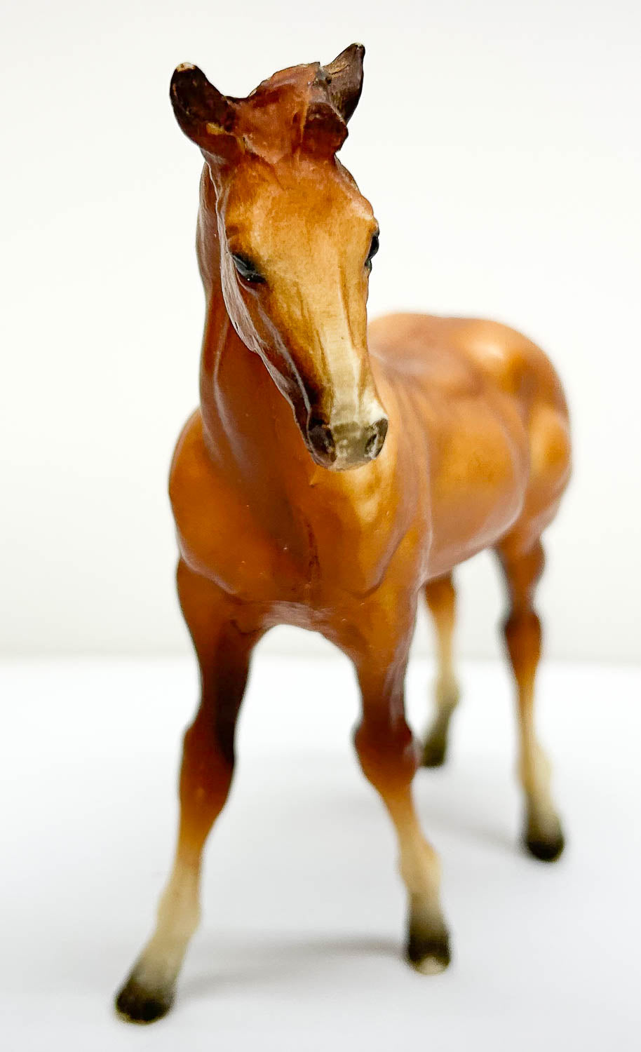 Quarter Horse Foal, Chestnut - VARIATION: Solid Face