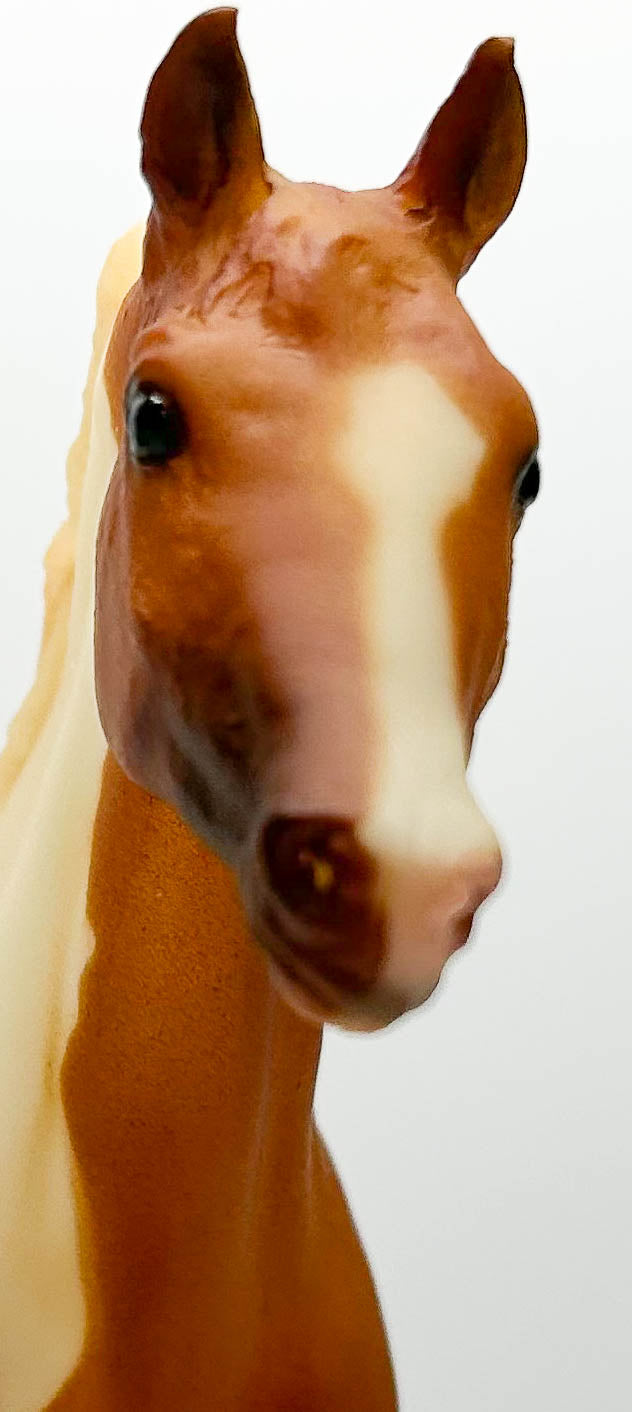 Ruffian ~ Misty II