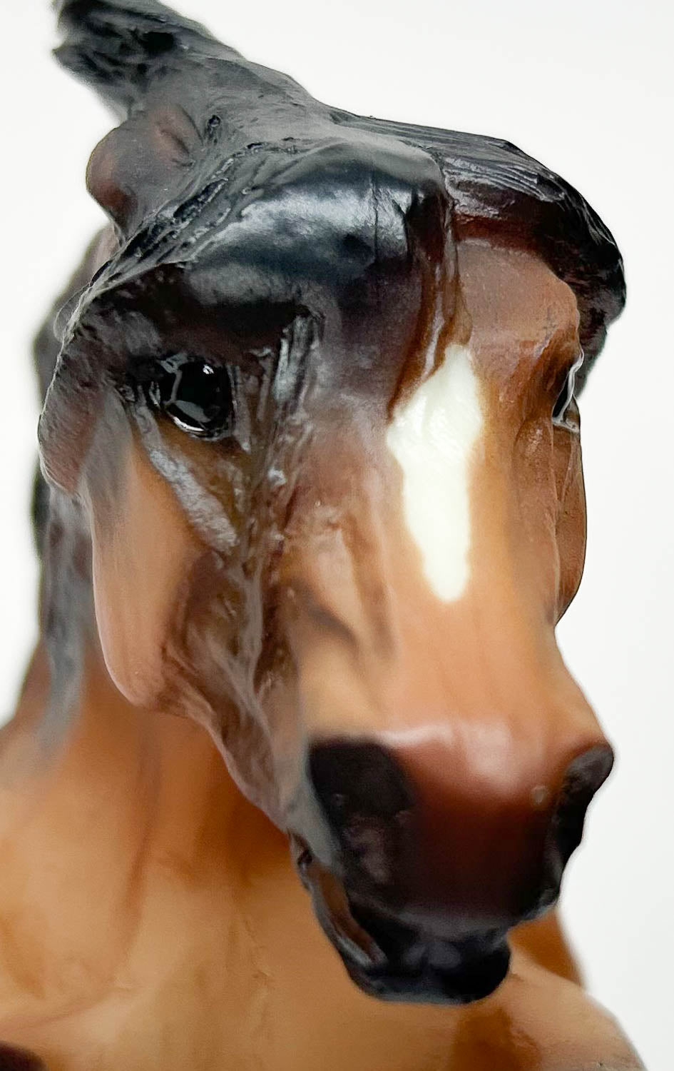 Sombra - from Dun Appaloosa & Black Bear Set