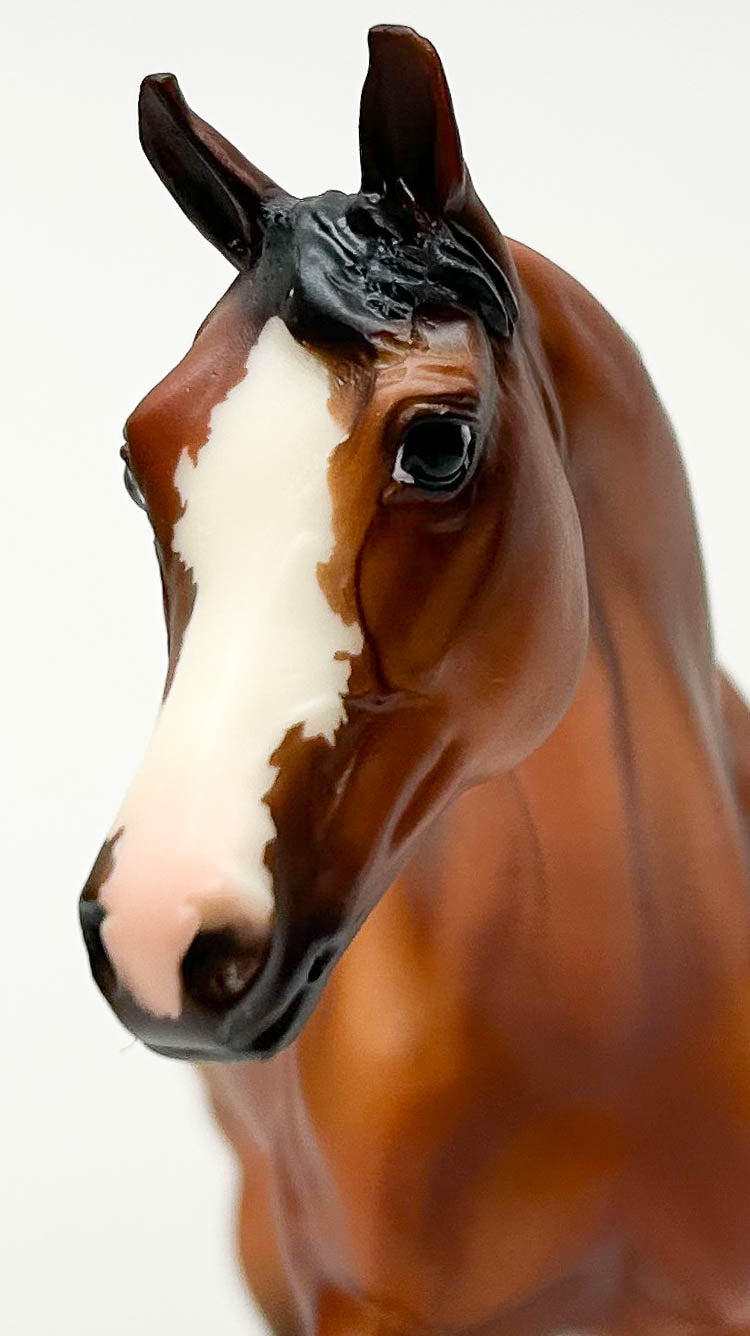 Warmblood Mare ~ Elsinore - 2008 Breyer Fun Days SR