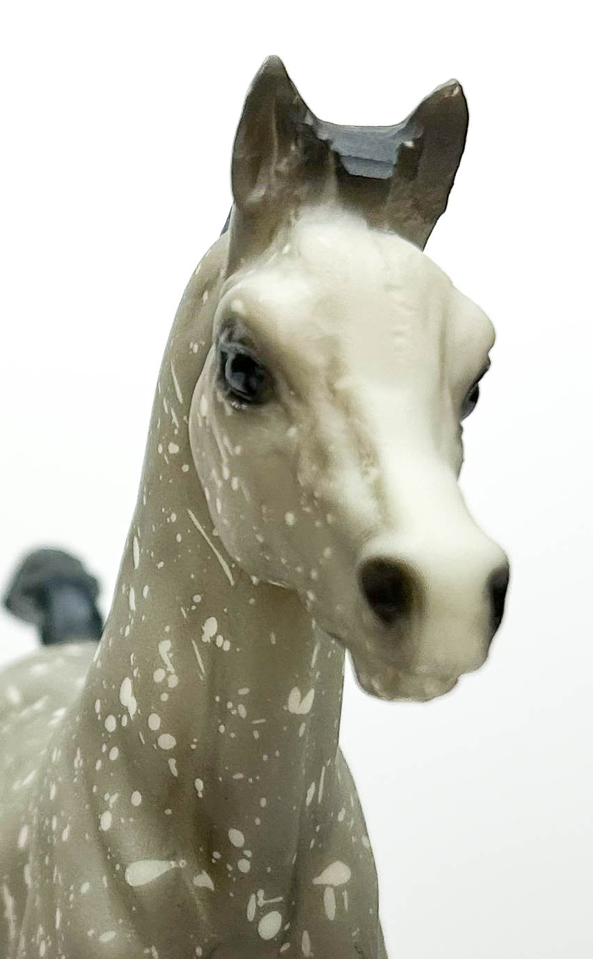 Family Arabian Foal ~ Spirit of the Wind - 1991 Sears SR