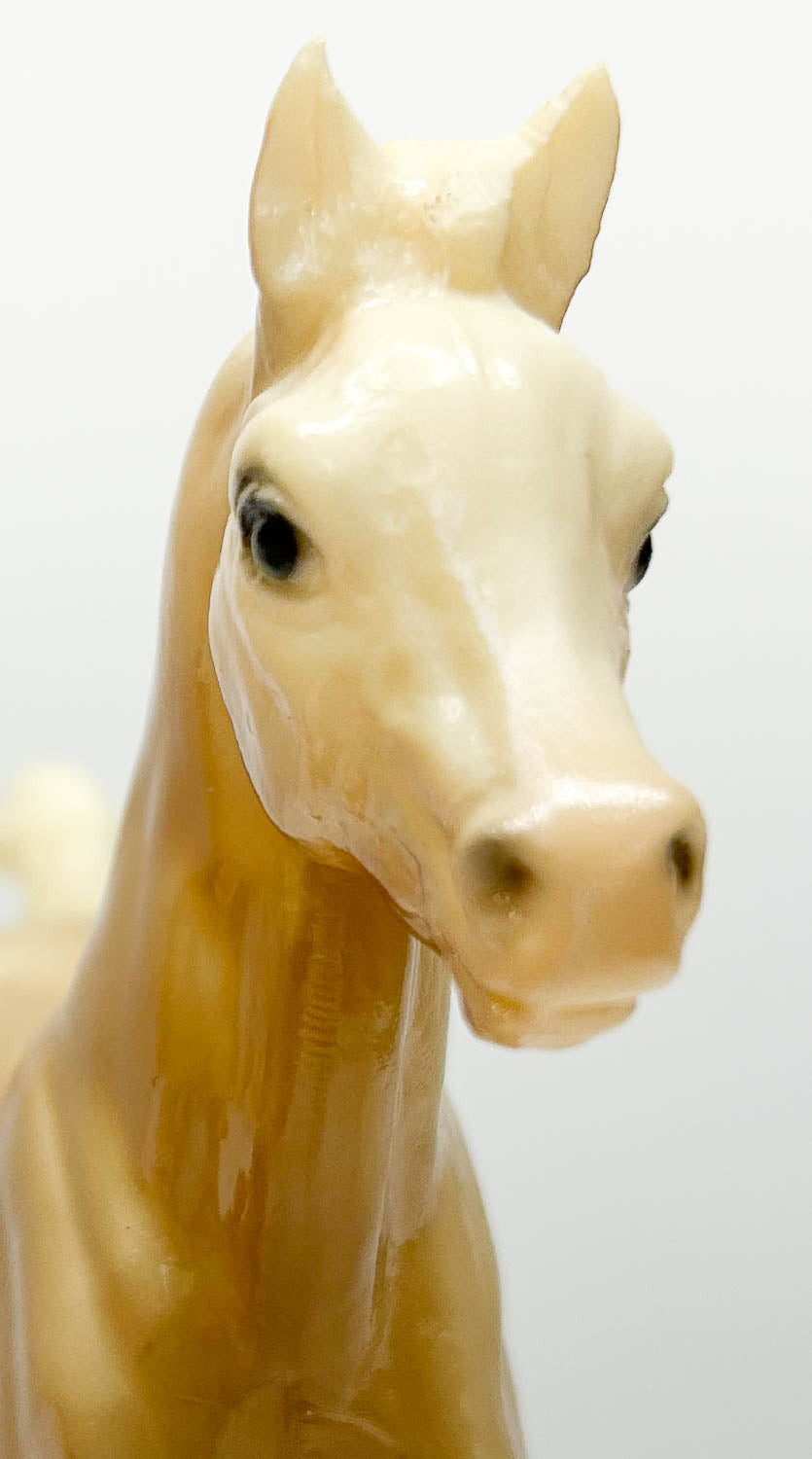 Family Arabian Foal ~ Charity - Palomino, Glossy from Sheryl Leisure Collection