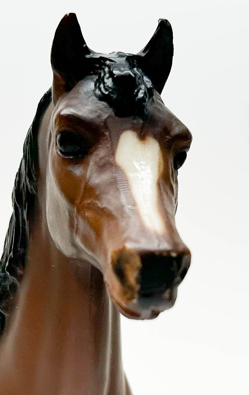 Family Arabian Mare ~ Sheba - Bay, Matte - Dark Variation