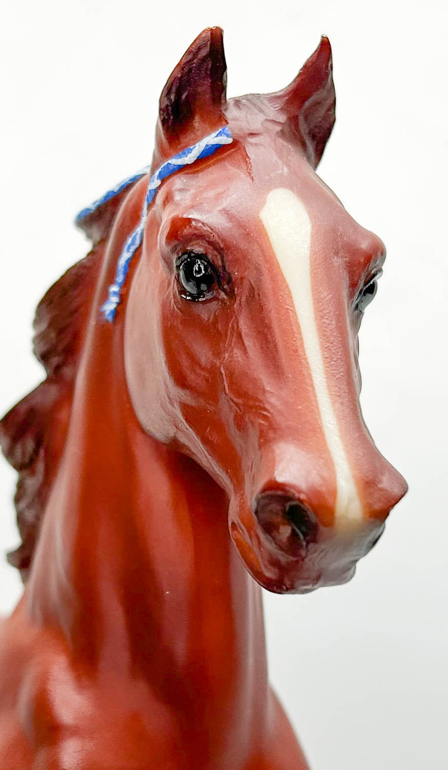 Five Gaiter ~ Kentucky Saddlebred