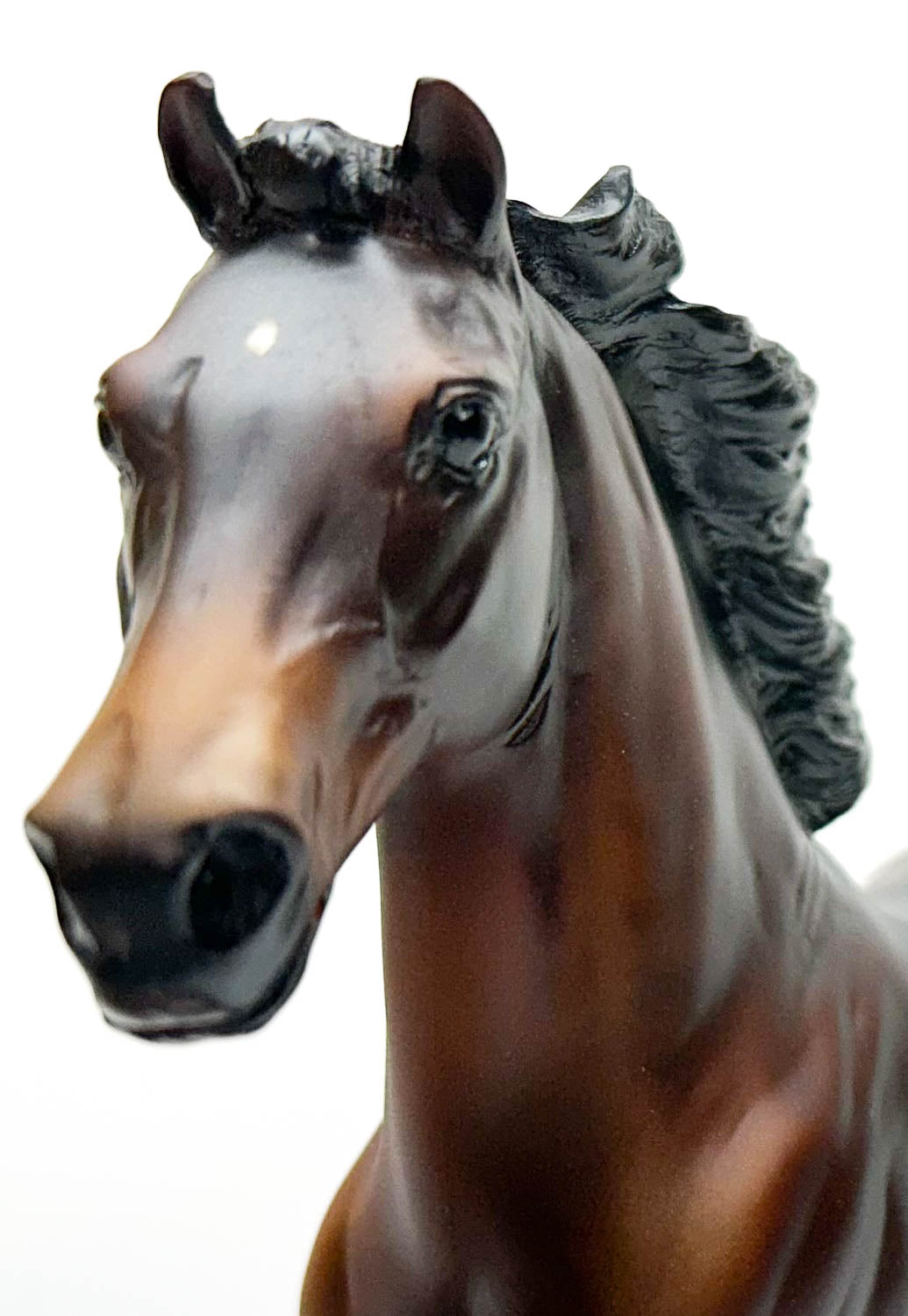 Flash - US Pony Club 50th Jubilee Model