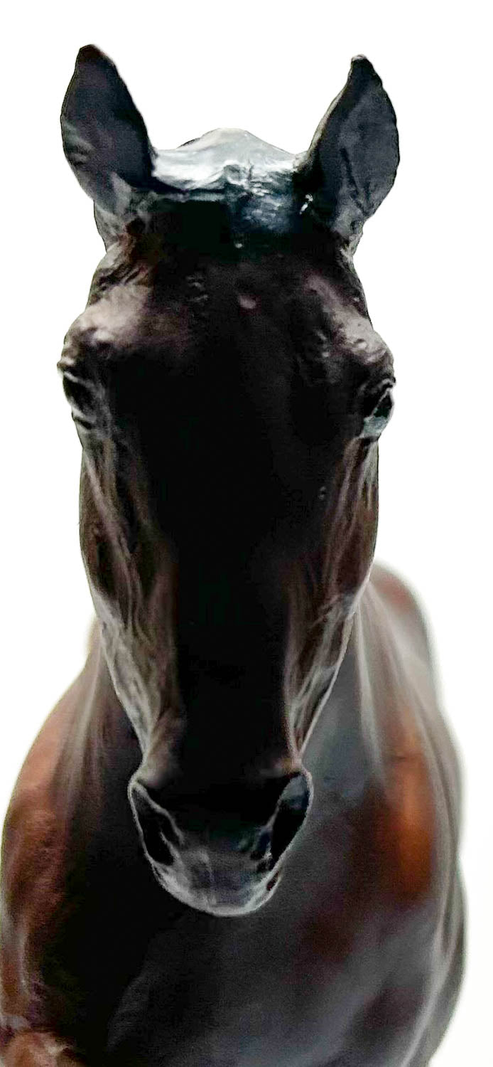 Hanoverian, Mahogany Bay - Spiegel SR