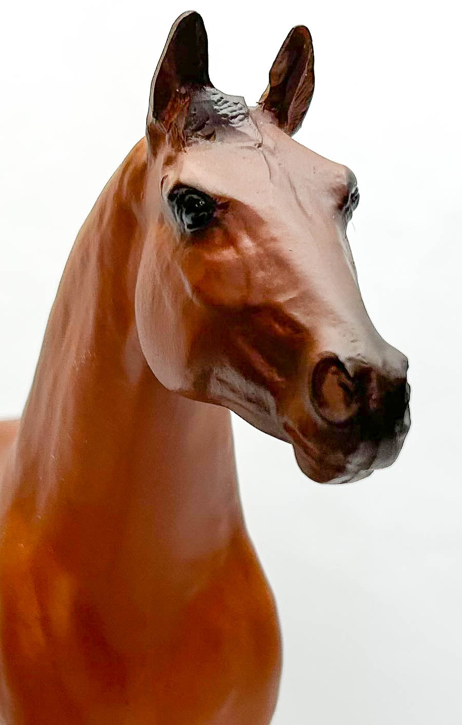 Ideal Quarter Horse ~ Progeny of Wimpy P-1