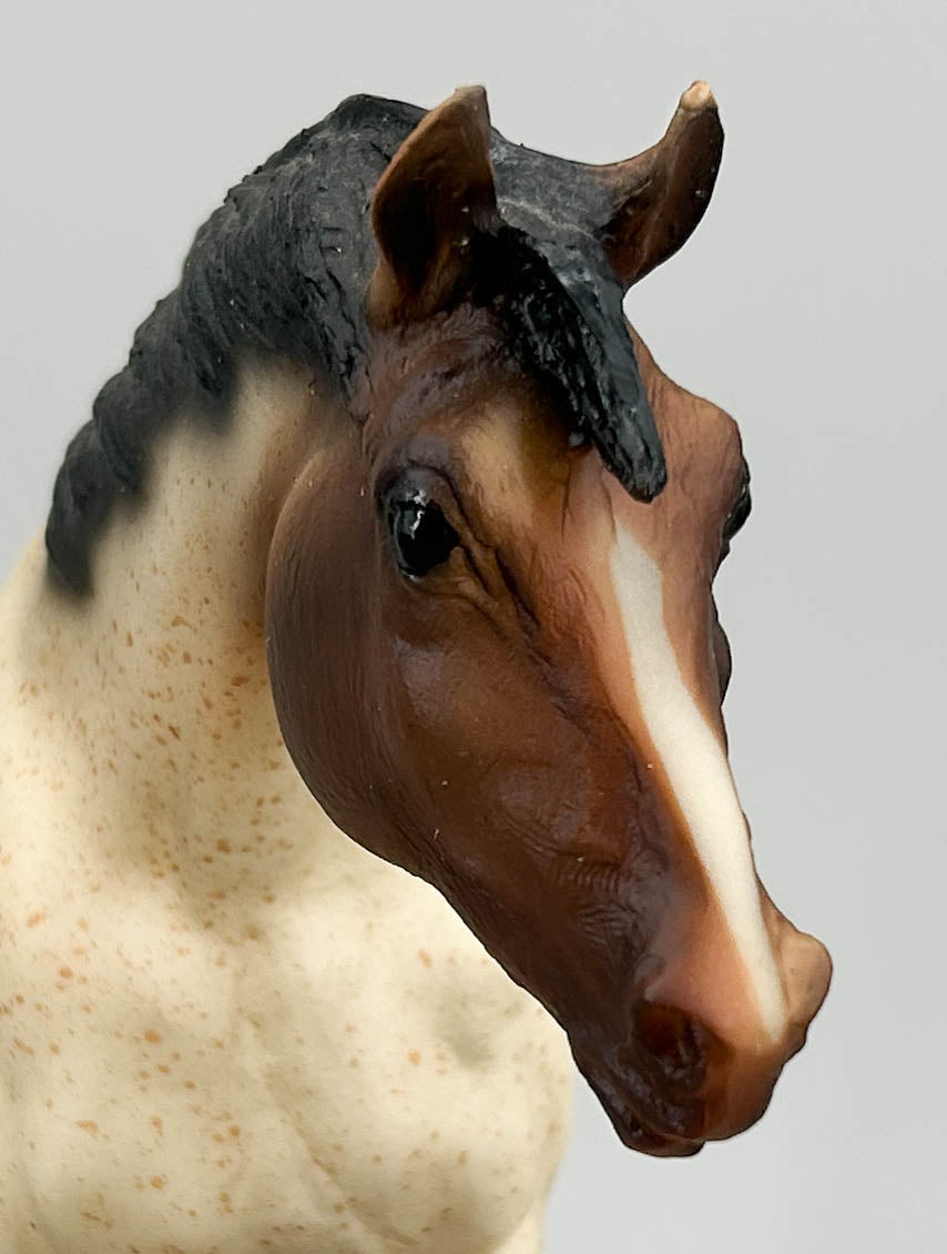 Indian Pony ~ Cheyenne