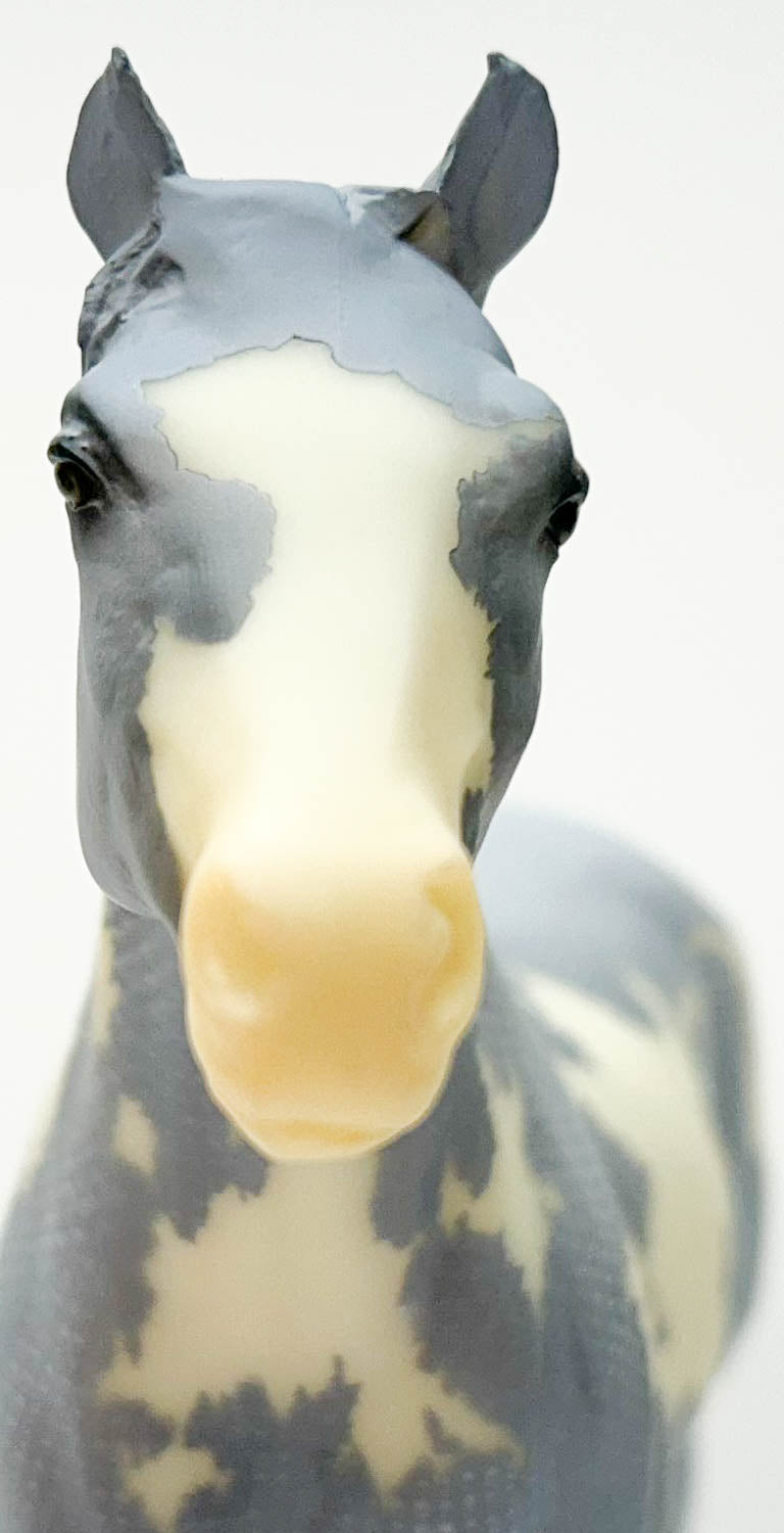 Lady Phase ~ Twill, Breyerfest SR