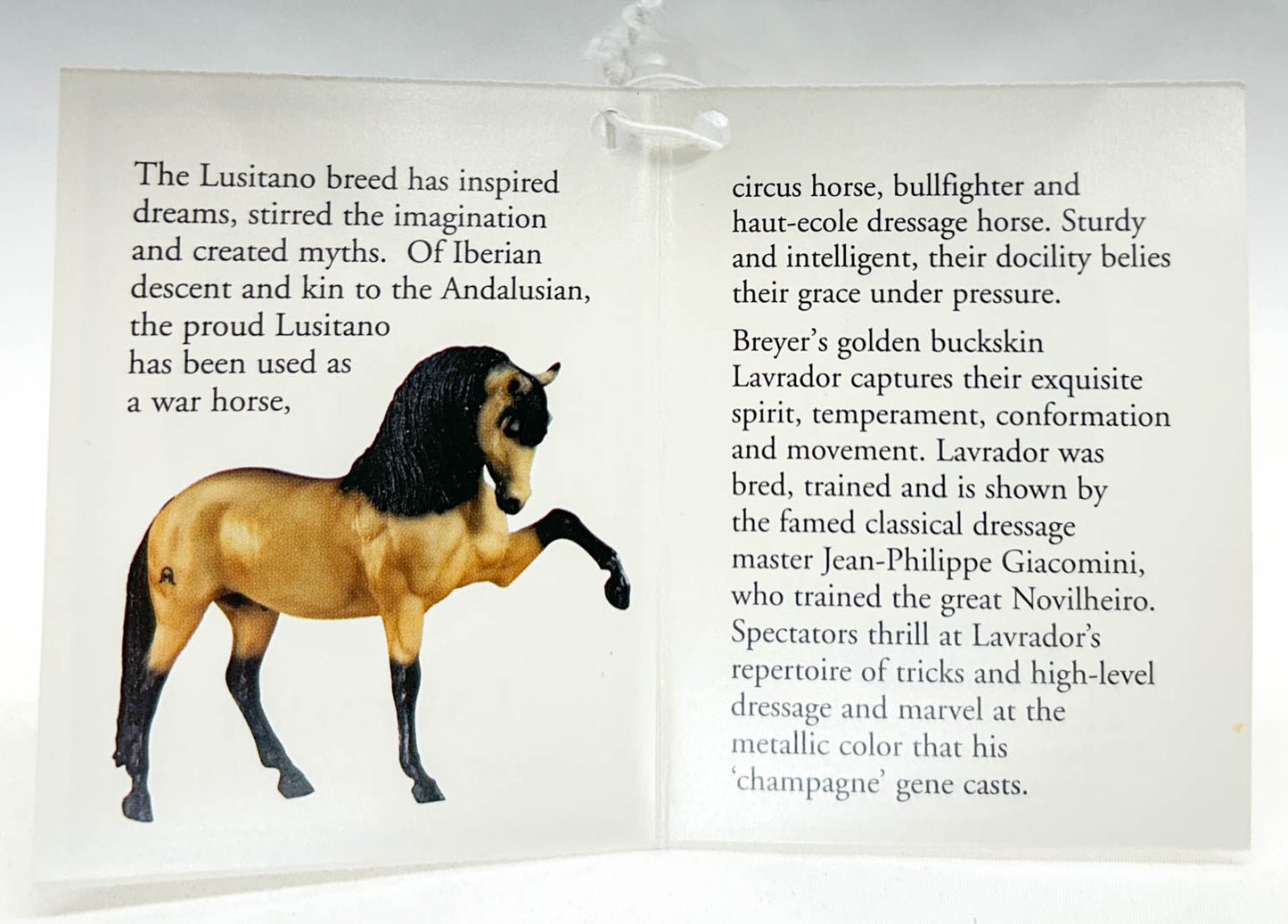 Legionario III ~ Lavrador w/ Hang Tag