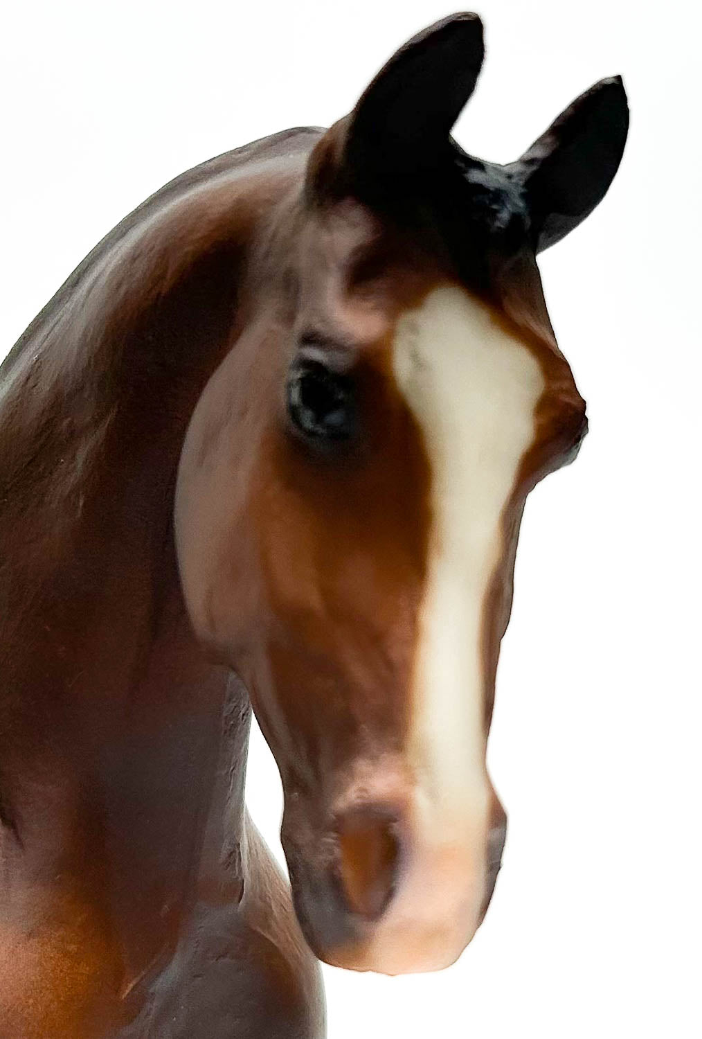 Misty's Twilight ~ Dover