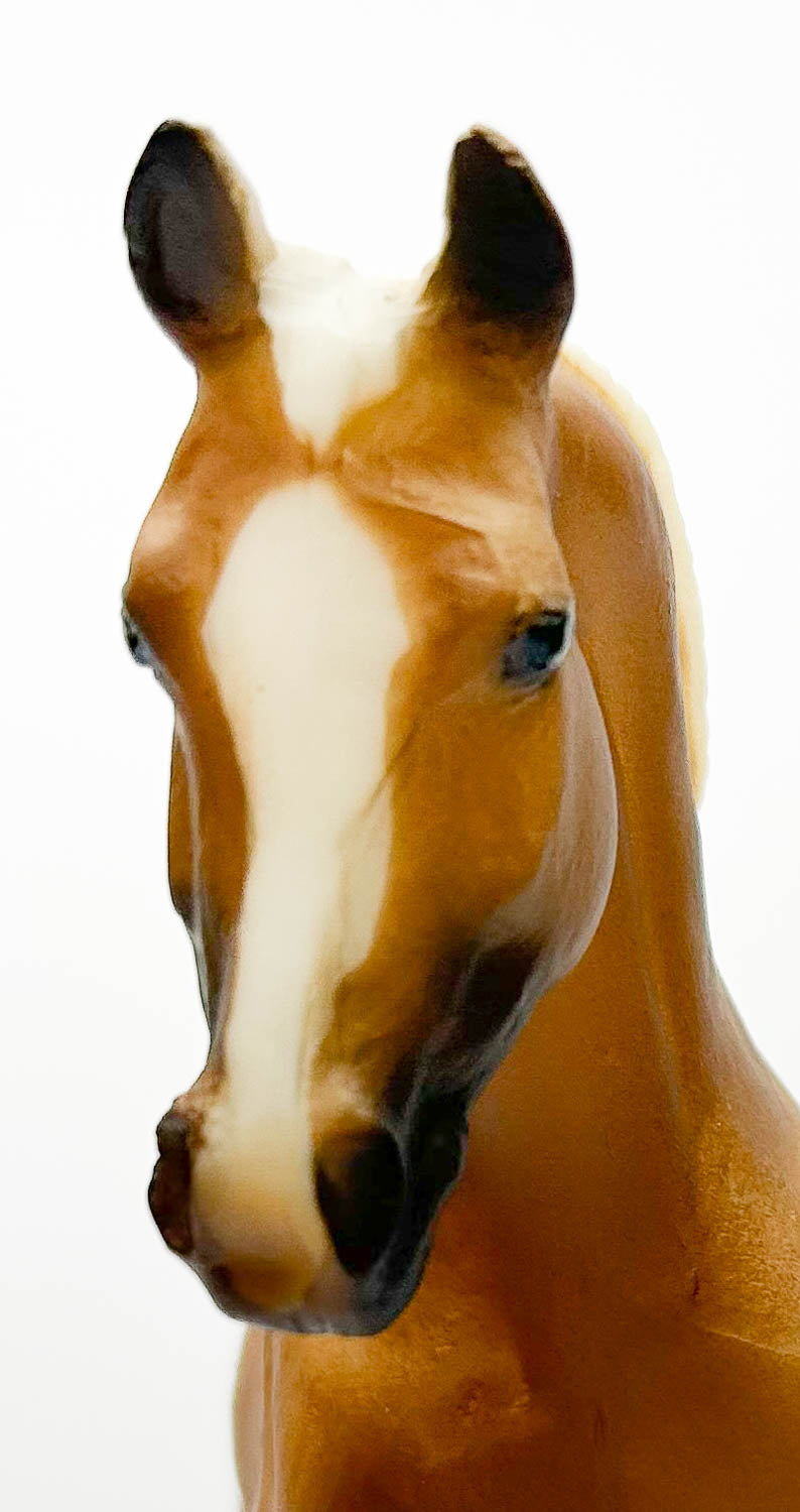 Misty's Twilight ~ Kokopelli's Gold - State Line Tack SR