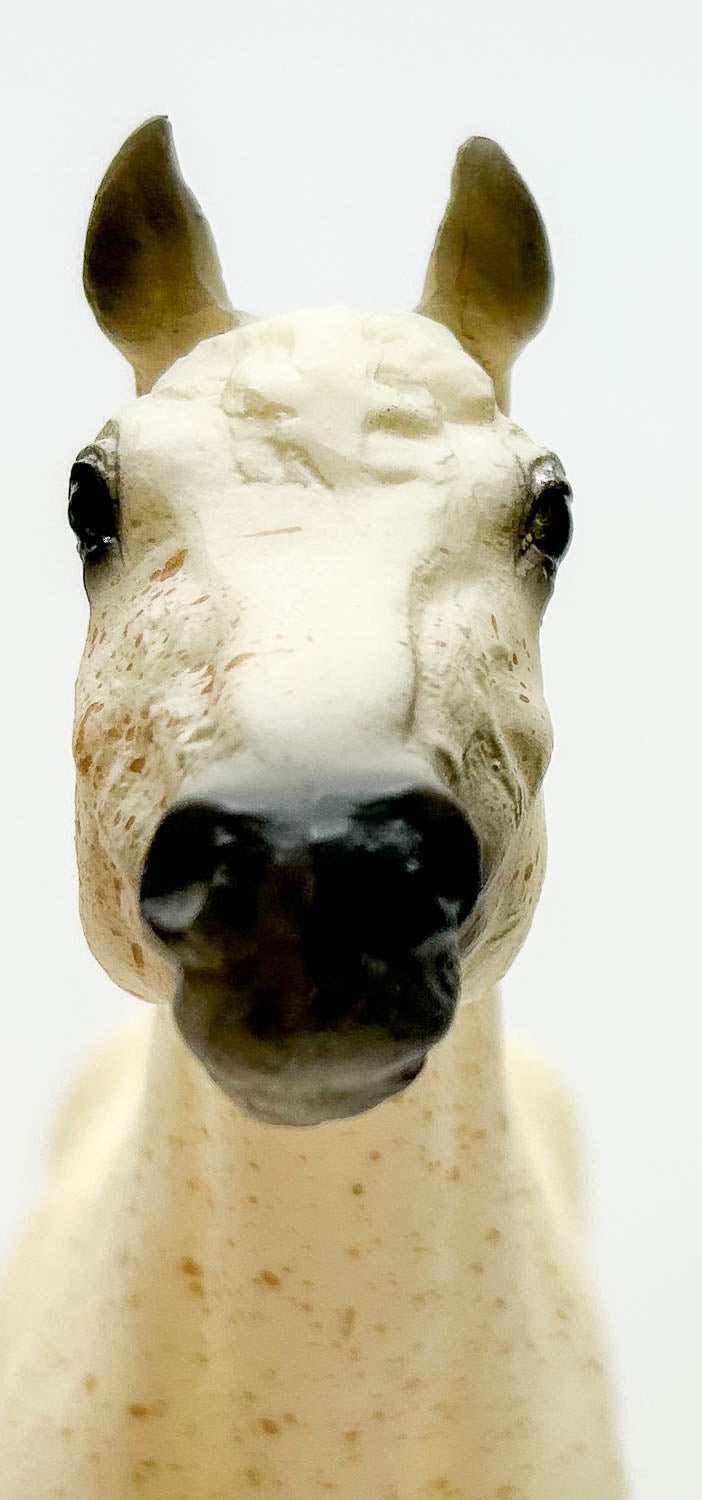 Morganglanz ~ Pieraz - USET Tournament of Champions SR 1995