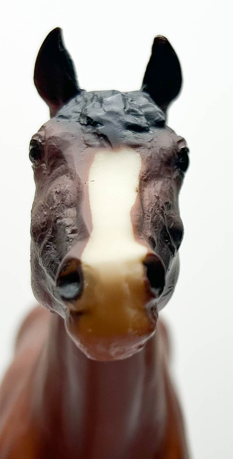 Morganglanz, Bay - JC Penney SR