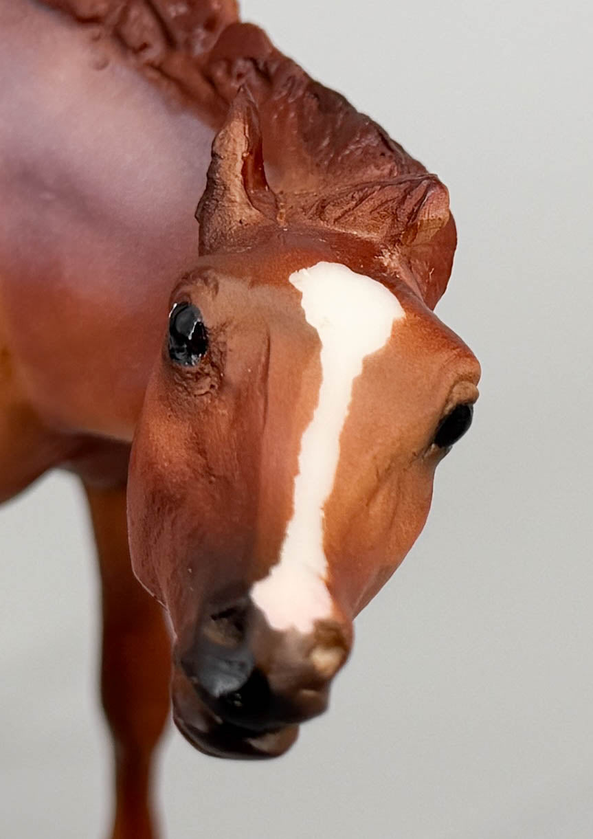 Thoroughbred Mare and Nursing Foal ~ Eve & Claus - 2015 Web Special