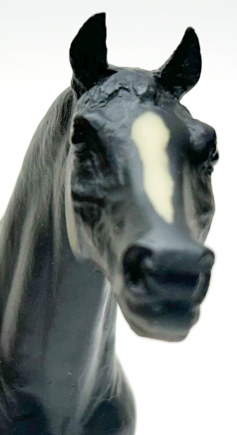 Pony of the Americas ~ Pantomime