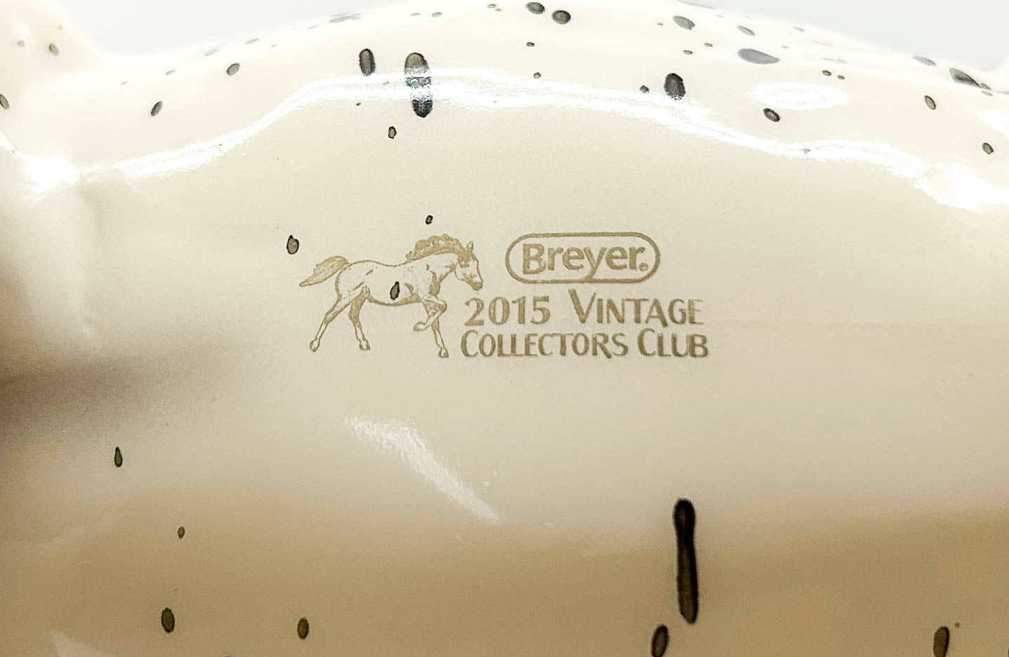 Quarter Horse Gelding ~ Two Bits - Vintage Club, w/ COA