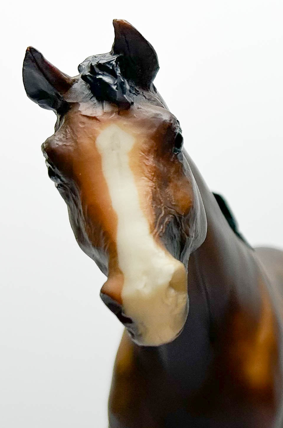 San Domingo, Bay - Sears SR