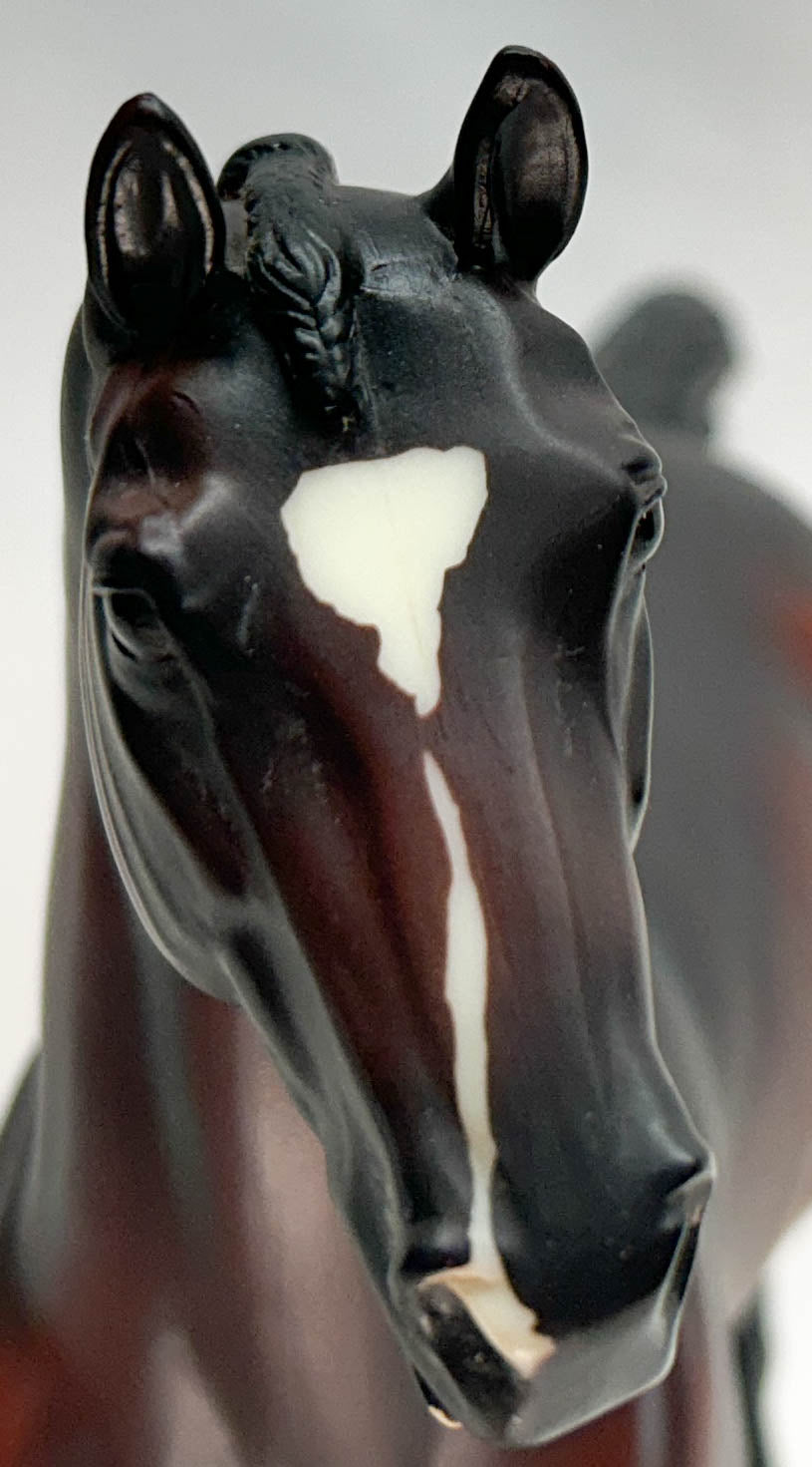 Show Jumping Warmblood ~ Royal Kalibur - USET Festival of Champions