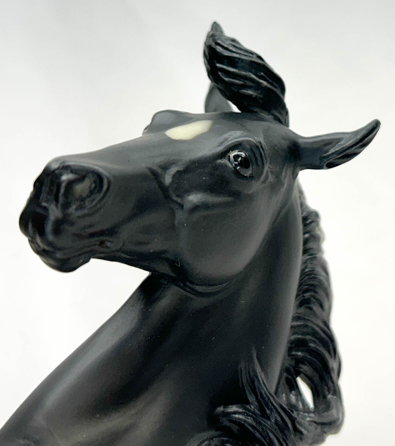 Silver ~ Black Beauty - QVC SR