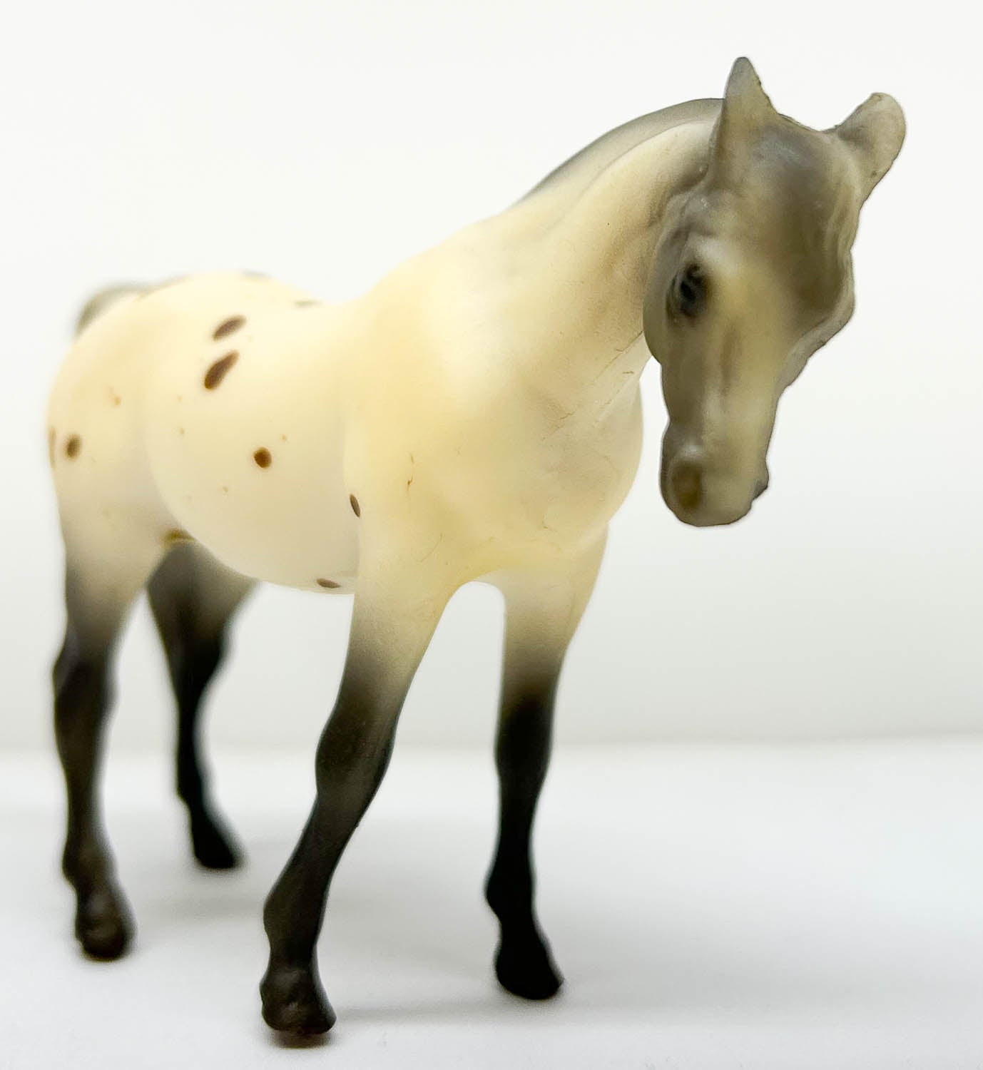 Arabian Mare, Leopard Appaloosa - JC Penney SR