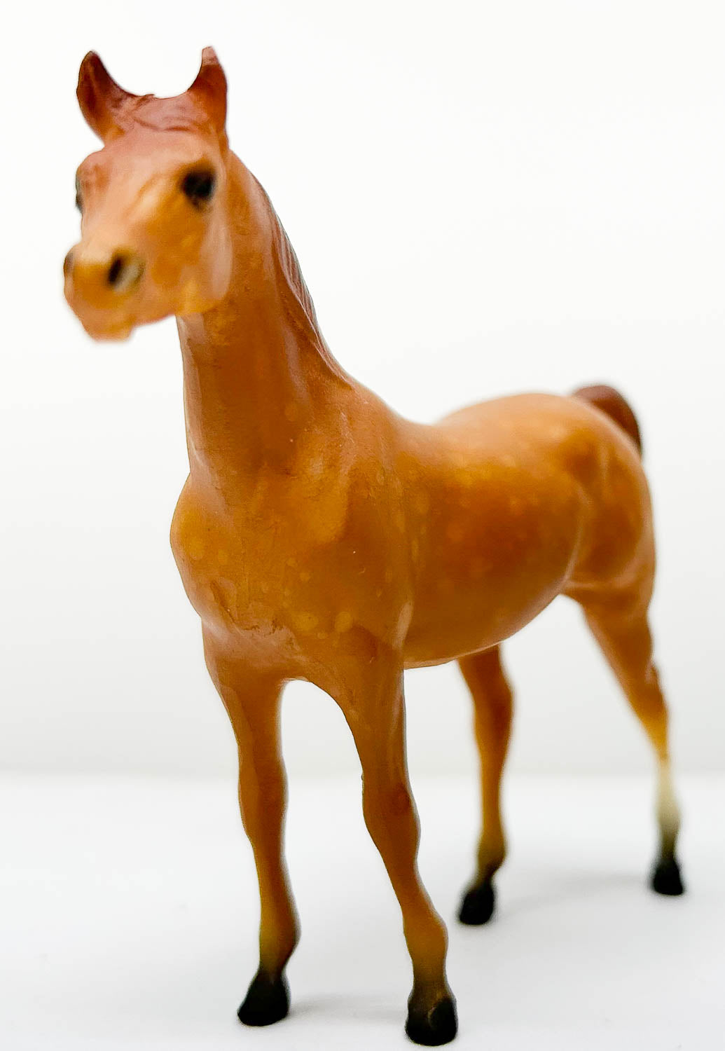 Arabian Stallion, Dappled Chestnut - Sears SR