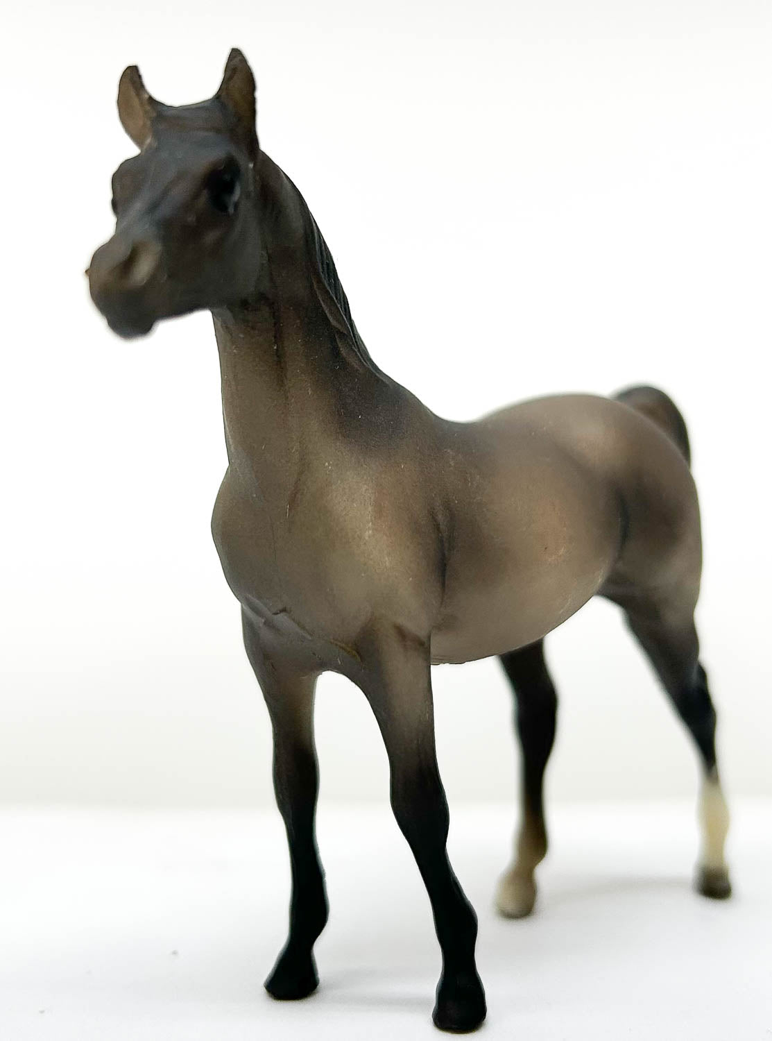 Arabian Stallion, Dark Rose Grey - JC Penney SR