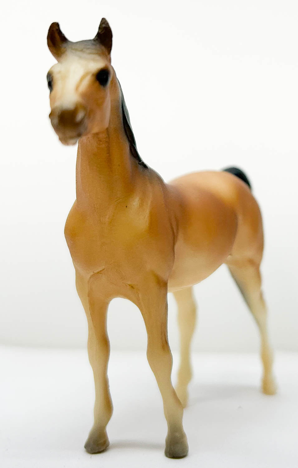 Arabian Stallion, Buckskin ("Light Bay") ~ JC Penney SR