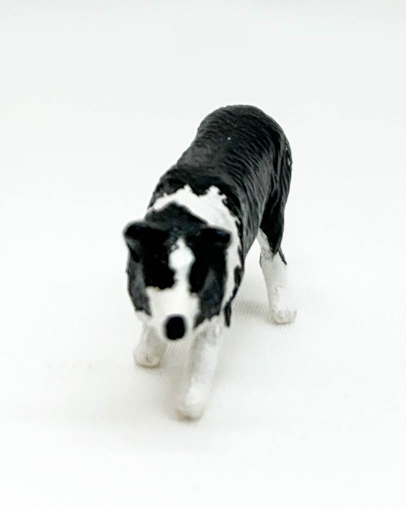 Border Collie, Black and White (Stablemates)