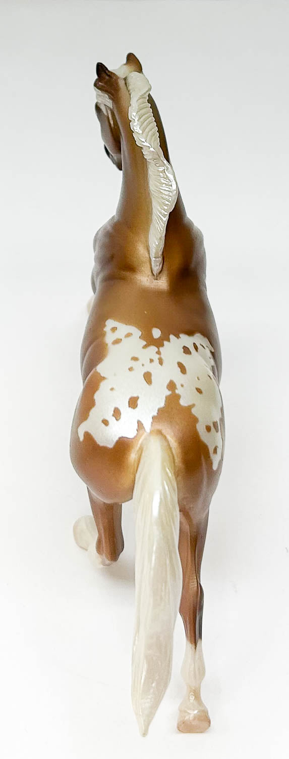 Cantering Warmblood, Palomino Appaloosa - JC Penney SR